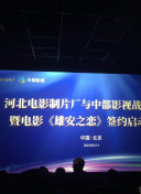 如何在植物大战僵尸中打败最强僵尸Boss